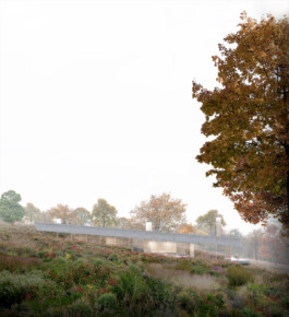 Bildt-architects