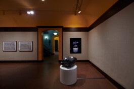 Bildt-architects
